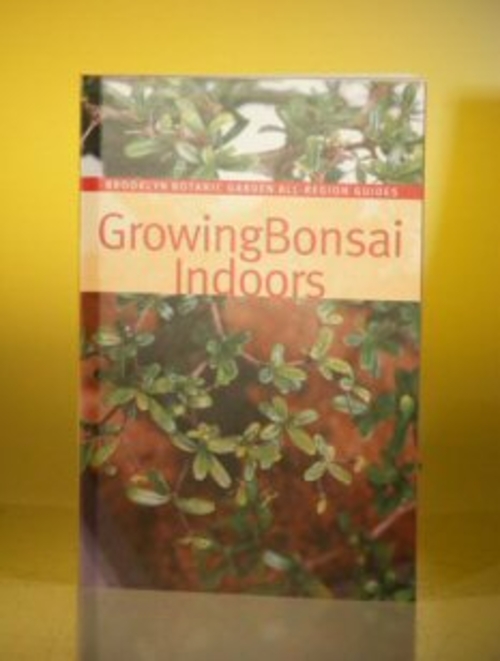 Growing Bonsai Indoors By Brooklyn Botanical Gardens