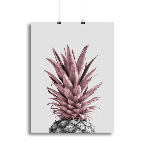 Pineapple Pink 04 Canvas Print or Poster