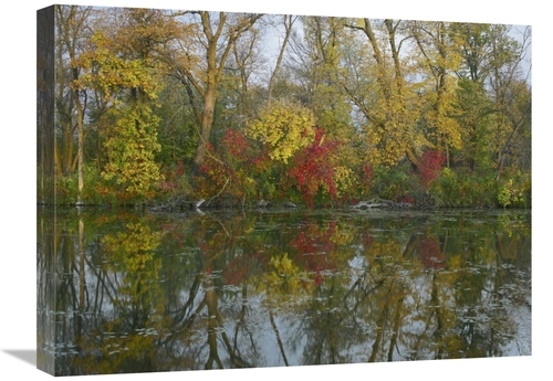 Global Gallery GCS-396825-1824-142 18 x 24 in. Autumn Reflection on Ma