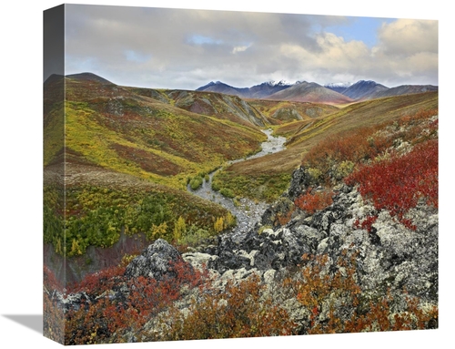 Global Gallery GCS-397092-16-142 16 in. River Flowing Through Tundra&#