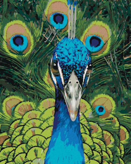 Zuty - Paint by Numbers - PEACOCK PORTRAIT (CAROL CAVALARIS), 40x50 cm