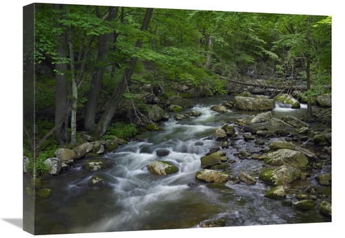 Main Global Gallery GCS-396787-1824-142 18 x 24 in. Little Stony Creek Flow image