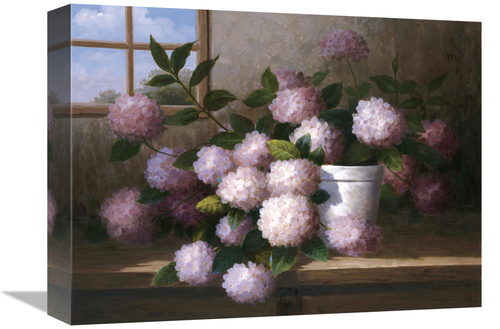 Global Gallery GCS-119543-1216-142 12 x 16 in. Hydrangea Blossoms I Ar