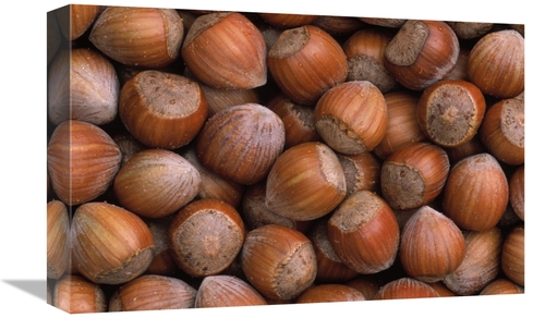 Global Gallery GCS-398204-1218-142 12 x 18 in. Hazelnut Europe Art Pri