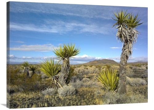 Global Gallery GCS-397106-3040-142 30 x 40 in. Cinder Cones, Joshu