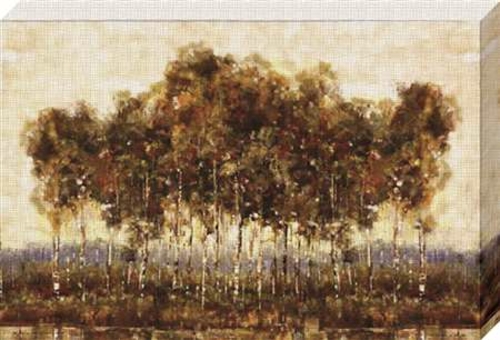 North American Art NC1009 36 x 24 in. Treescape I Canvas Framed Landsc