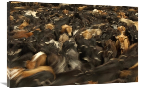 Global Gallery GCS-453133-2436-142 24 x 36 in. Cattle Herded by Chagra