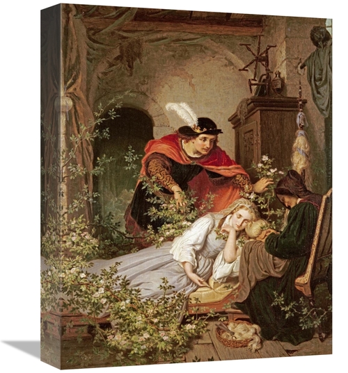 Global Gallery GCS-268464-16-142 16 in. Sleeping Beauty Art Print - Ro