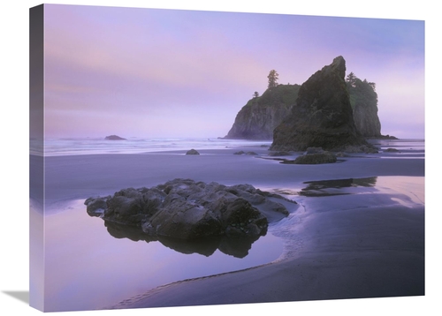 Global Gallery GCS-396865-1824-142 18 x 24 in. Ruby Beach with Seastac