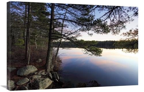 Global Gallery GCS-397611-2436-142 24 x 36 in. Forest Along Lake Shore