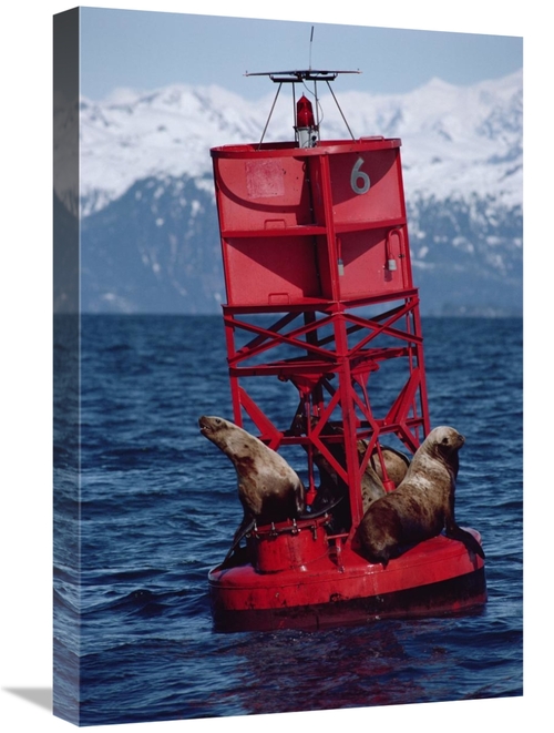 Global Gallery GCS-450643-1624-142 16 x 24 in. Oil Stained Stellers Se