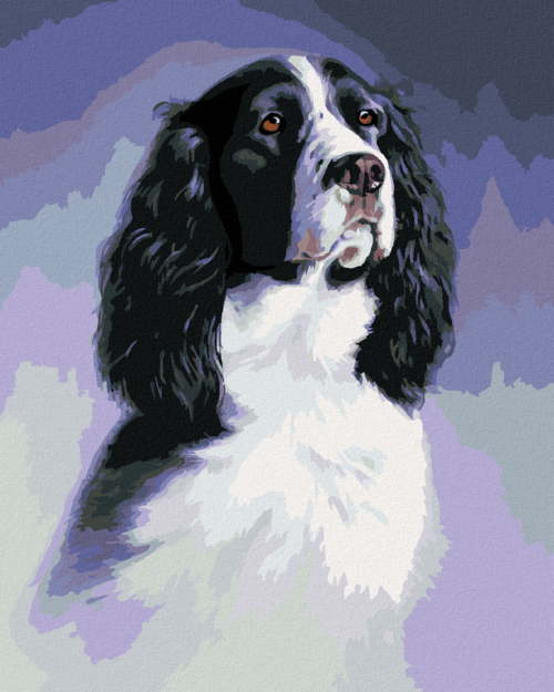 Zuty - Paint by Numbers - ENGLISH SPRINGER SPANIEL (JIM KILLEN), 40x50