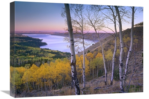 Global Gallery GCS-396936-1824-142 18 x 24 in. Aspen Forest Overlookin