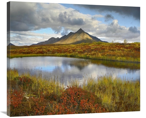 Global Gallery GCS-396769-36-142 36 in. Pond & Ogilvie Mountains, 