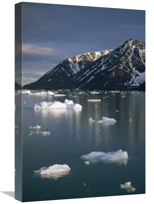 Global Gallery GCS-451338-1624-142 16 x 24 in. Ice Floes in Evening Li