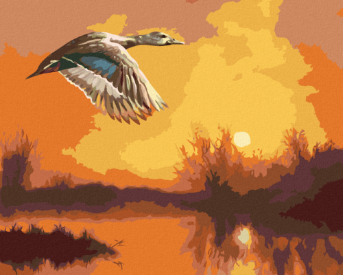 Zuty - Paint by Numbers - FLYING DUCK AND THE SUNSET (D. RUSTY RUST),