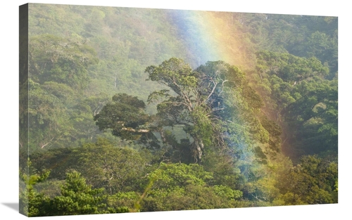 Global Gallery GCS-397318-2030-142 20 x 30 in. Rainbow Over Rainforest