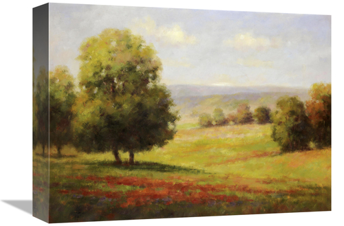Global Gallery GCS-130631-1216-142 12 x 16 in. Red Meadow II Art Print
