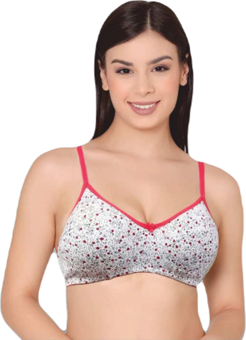 Comfortfit Non-Padded Non-Wired Molded Full Coverage Bra  Grey