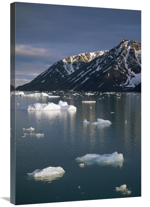 Global Gallery GCS-451338-2436-142 24 x 36 in. Ice Floes in Evening Li