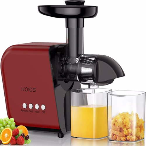 Masticating Slow Juicer Extractor with Reverse Function