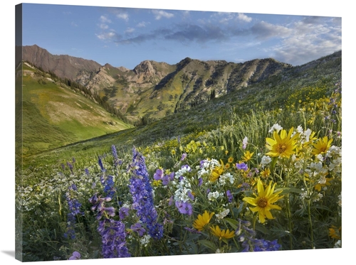 Global Gallery GCS-396499-3040-142 30 x 40 in. Larkspur & Sunflowers&#