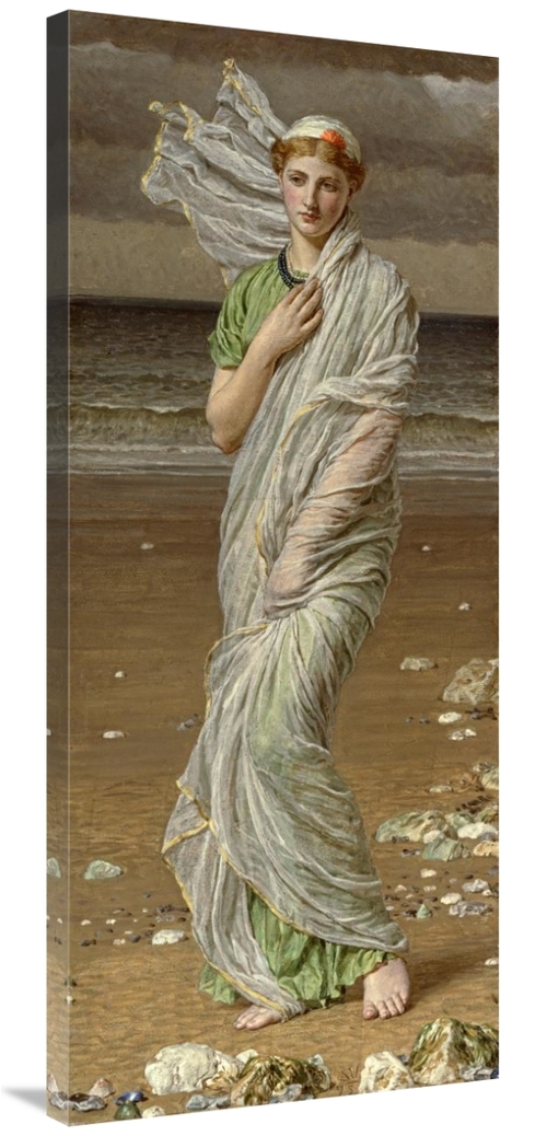 Global Gallery GCS-282560-44-142 44 in. Sea Shells Art Print - Albert 