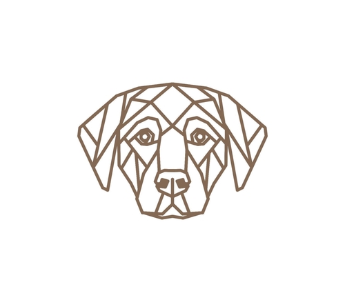 Central Coast Designs GEODOG-18BRZ 18 x 18 in. Geometric Dog Design La