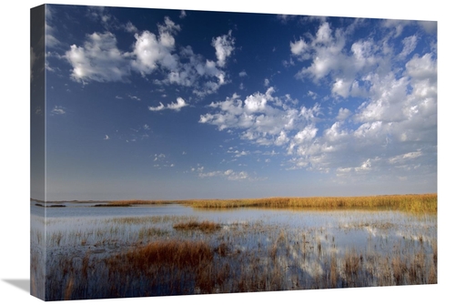 Global Gallery GCS-396188-1824-142 18 x 24 in. Marsh, Padre Island