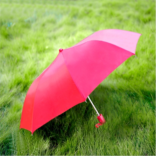 Mini Umbrella