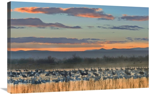 Global Gallery GCS-397206-2436-142 24 x 36 in. Snow Geese & Sandhill C