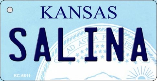 Smart Blonde KC-6611 1.5 x 3 in. Salina Kansas State License Plate Nov