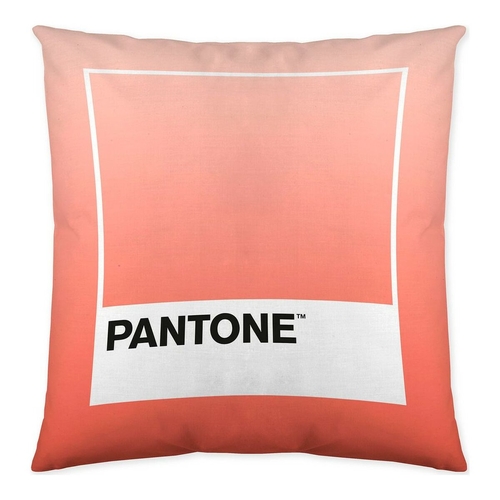 Cushion cover Ombre B Pantone Localization-B086JQB7QD Reversible 50 x