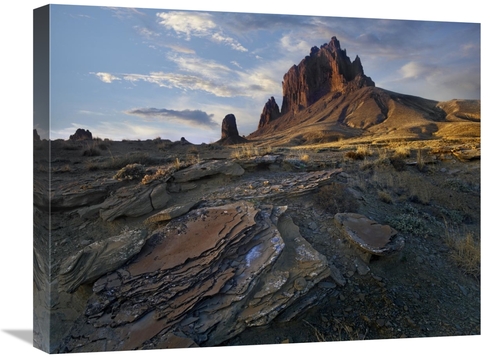 Global Gallery GCS-396526-1824-142 18 x 24 in. Shiprock, the Basal