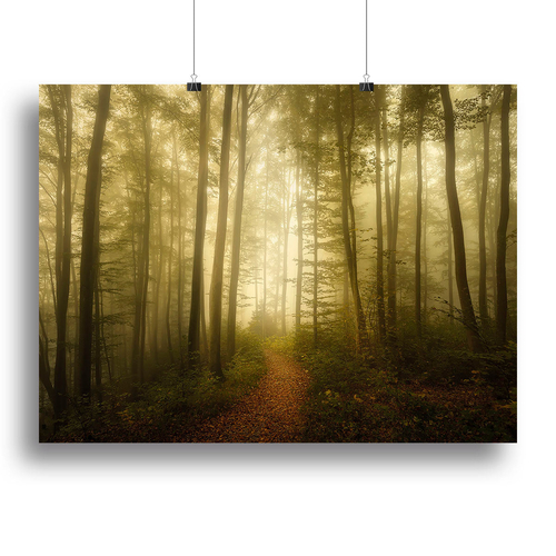 Charm Of The Ephemeral Canvas Print or Poster