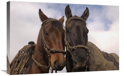 Global Gallery GCS-453134-2030-142 20 x 30 in. Horses Pair Belonging t