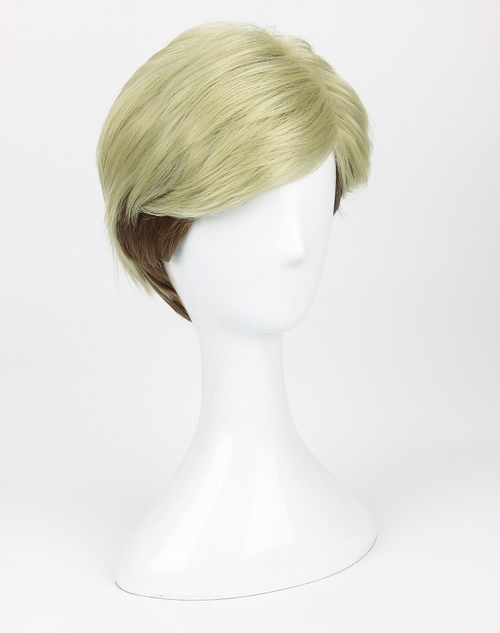 Attack on Titan Erwin Smith Wig Short Blonde Brown