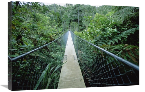 Global Gallery GCS-452463-2030-142 20 x 30 in. Suspension Bridge in Ab