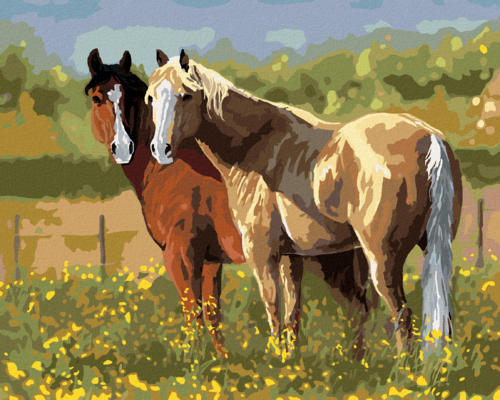 Zuty - Paint by Numbers â€“ HORSES IN THE FLOWERS (VICTORIA SCHULTZ),