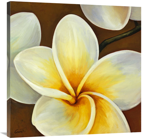 Global Gallery GCS-137414-3636-142 36 x 36 in. Frangipani II Art Print