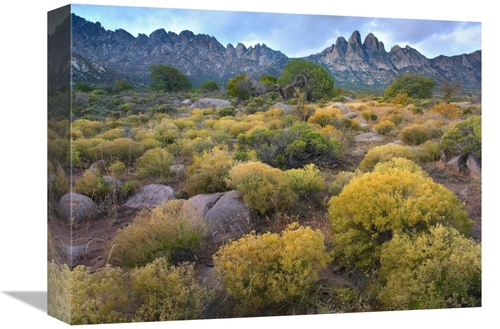 Global Gallery GCS-396217-1216-142 12 x 16 in. Organ Mountains, Ch