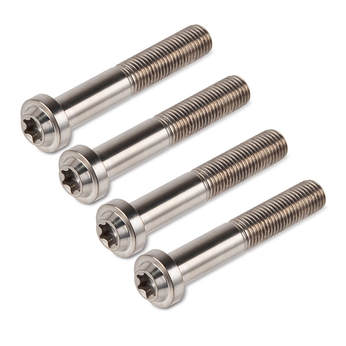 M10X1.25 Titanium Alloy Flange Head Screws for KTM