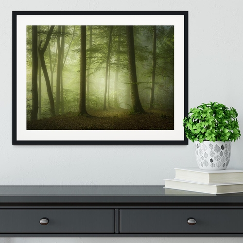 Mysterious Spring Morning Framed Print