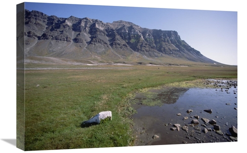 Global Gallery GCS-451538-1624-142 16 x 24 in. Svalbard Reindeer in Ar