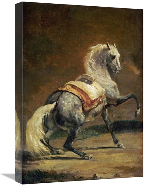 Global Gallery GCS-393264-22-142 22 in. Dappled Grey Horse - Reversed 