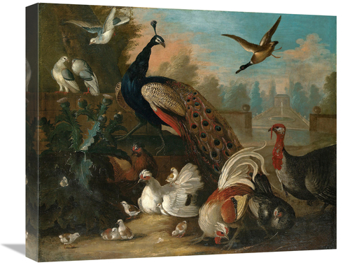 Global Gallery GCS-266114-22-142 22 in. A Peacock & Other Birds Art Pr