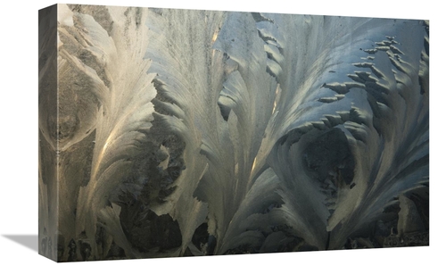Global Gallery GCS-397756-1218-142 12 x 18 in. Frost Crystal Patterns 