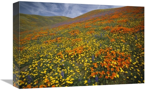 Global Gallery GCS-396992-1218-142 12 x 18 in. Hills Covered with Cali
