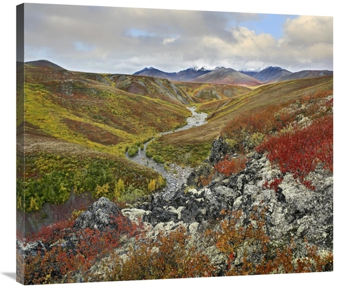 Global Gallery GCS-397092-36-142 36 in. River Flowing Through Tundra&#