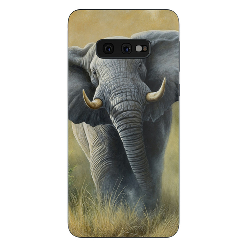 DecalGirl SGS10E-RIGHTWAY Samsung Galaxy S10e Skin - Right of Way